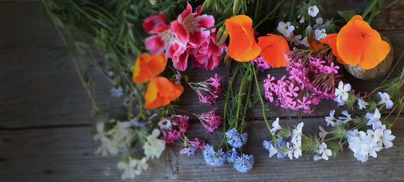 Container Gardening 101: How to Grow Food in Small Spaces