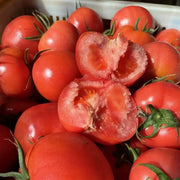 Better Boy Plus Hybrid Tomato Seeds