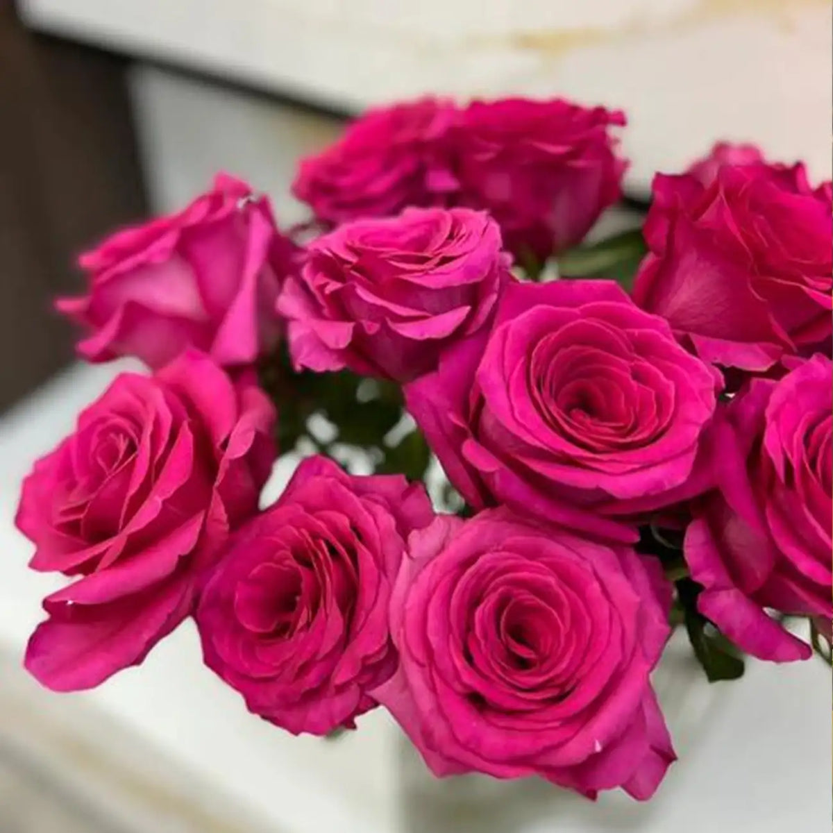 Bride Rose Seeds