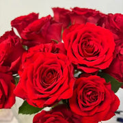 Cherish Rose Seeds