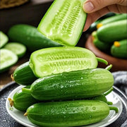 Cucumber Seeds, Mini, Party Time Hybrid