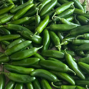 Early Jalaperio Organic Pepper Seeds