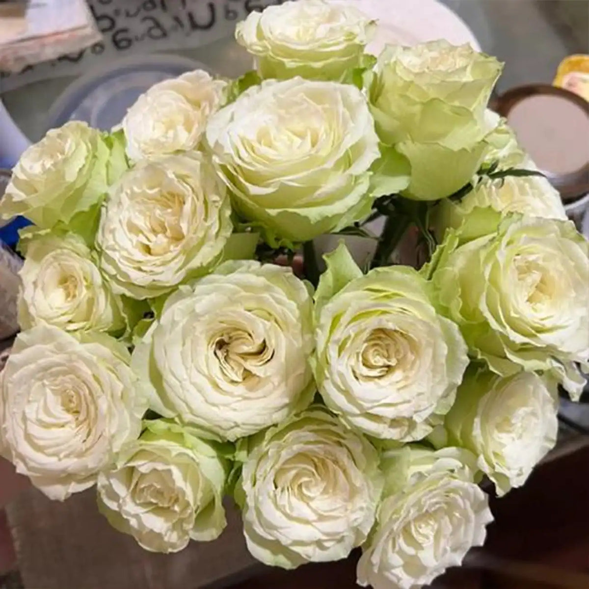 Jiangnan Rose Seeds