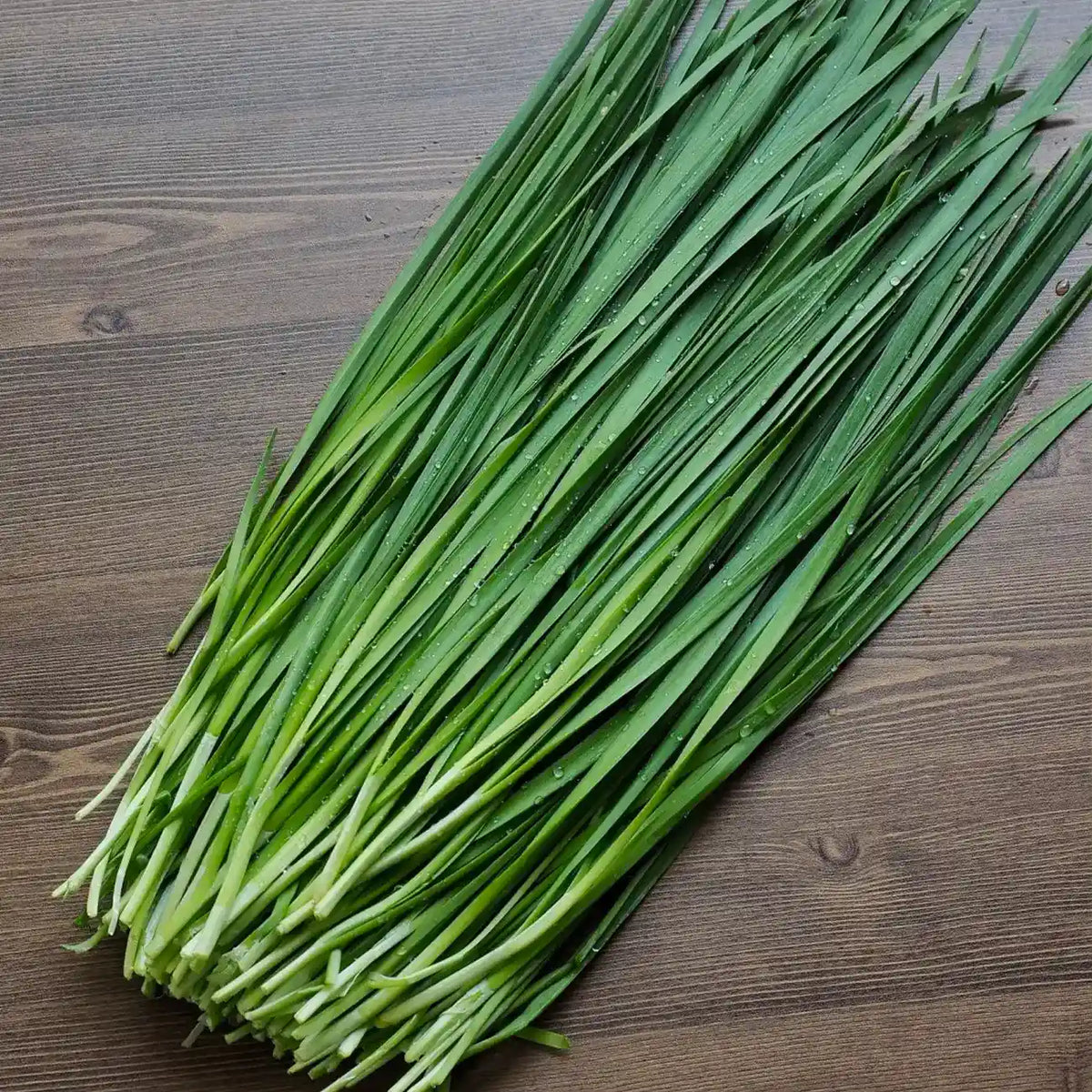 Nelly Organic Chive Seeds