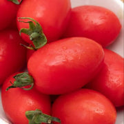 Organic Roma Tomato Seeds
