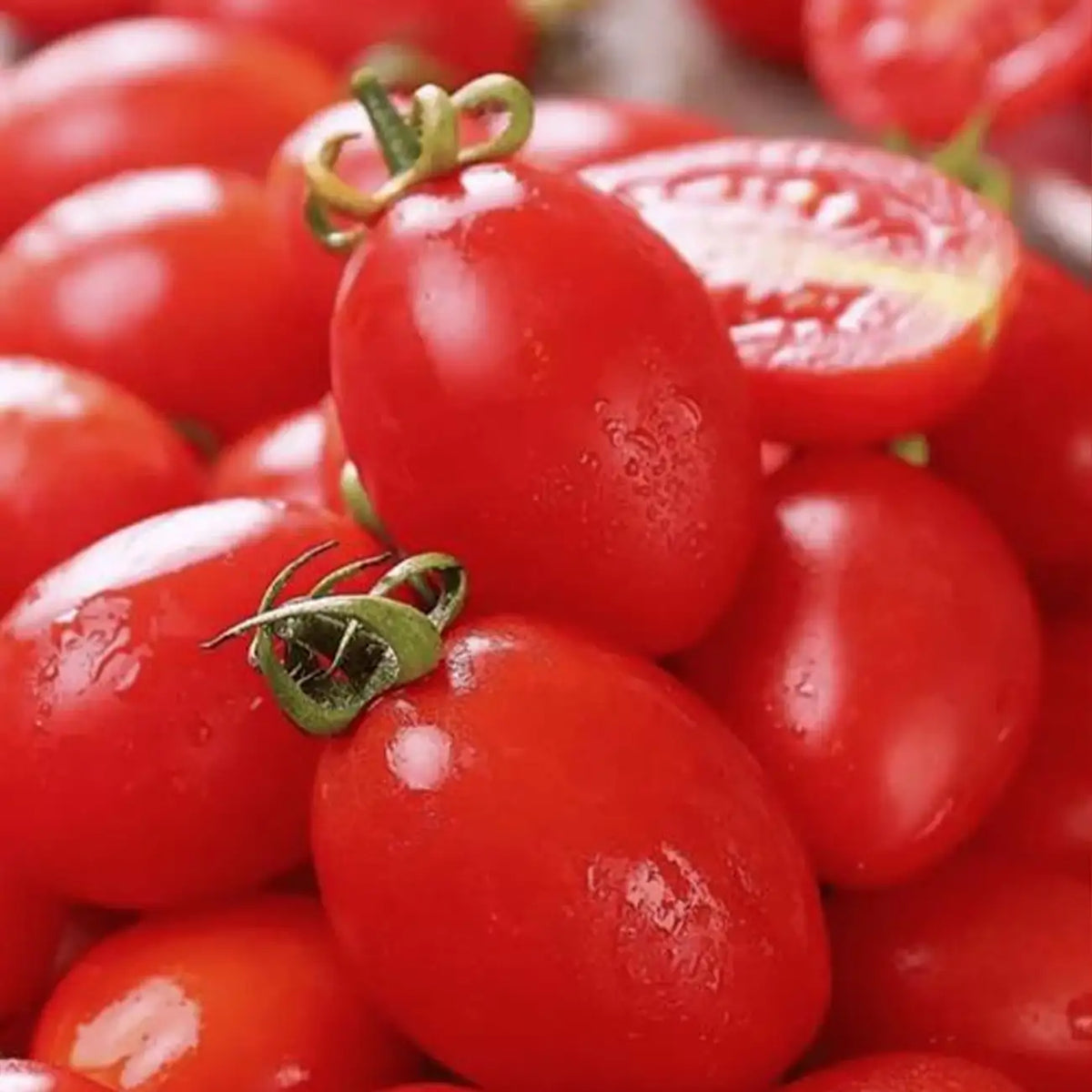 Organic Roma Tomato Seeds