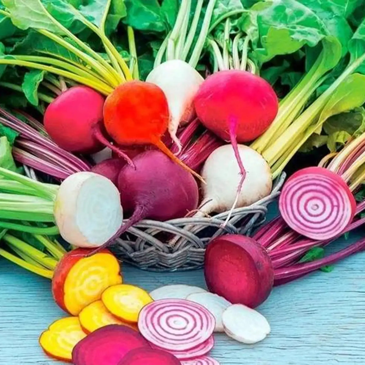 Rainbow Mix Beet Seeds