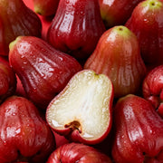 Red Wax Apple Seeds – Syzygium Samarangense Tropical Fruit Tree