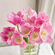 Tulip 'Eto' Seeds