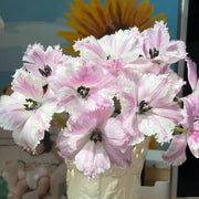 Tulip 'Margot' Seeds