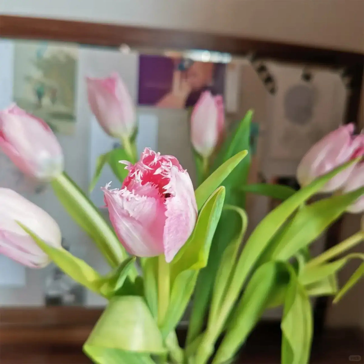Tulip 'Pink' Seeds