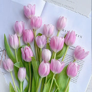 Tulip 'Shade Silhouette' Seeds