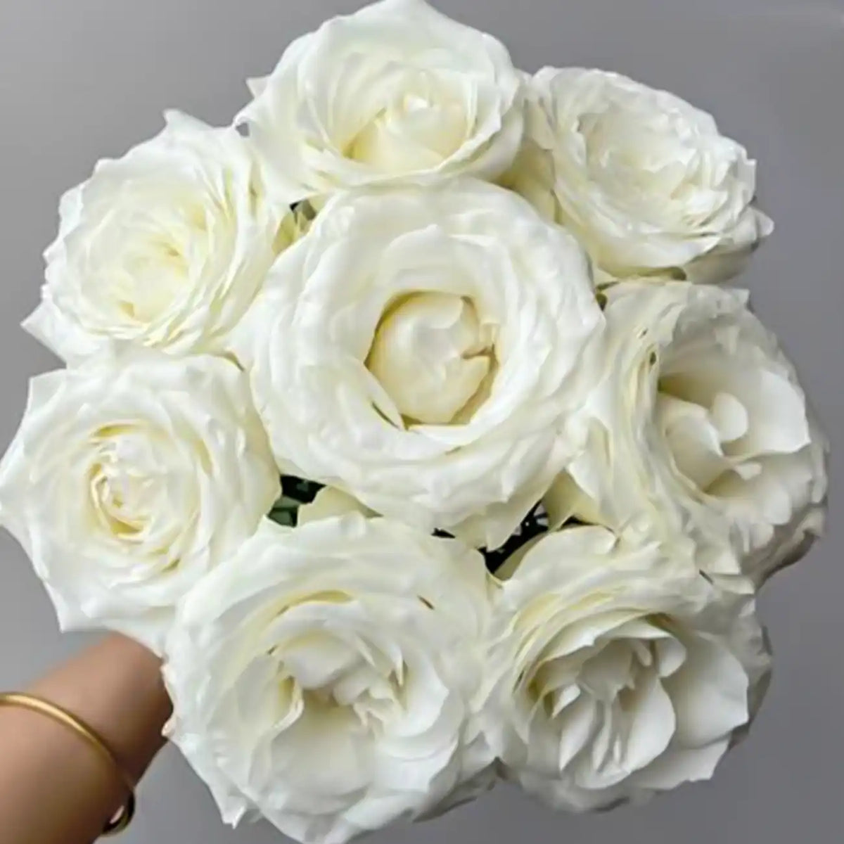 White Snow Mountain Rose Seeds