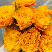 Orange Storm Rose Seeds