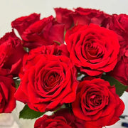 Cherish Rose Seeds