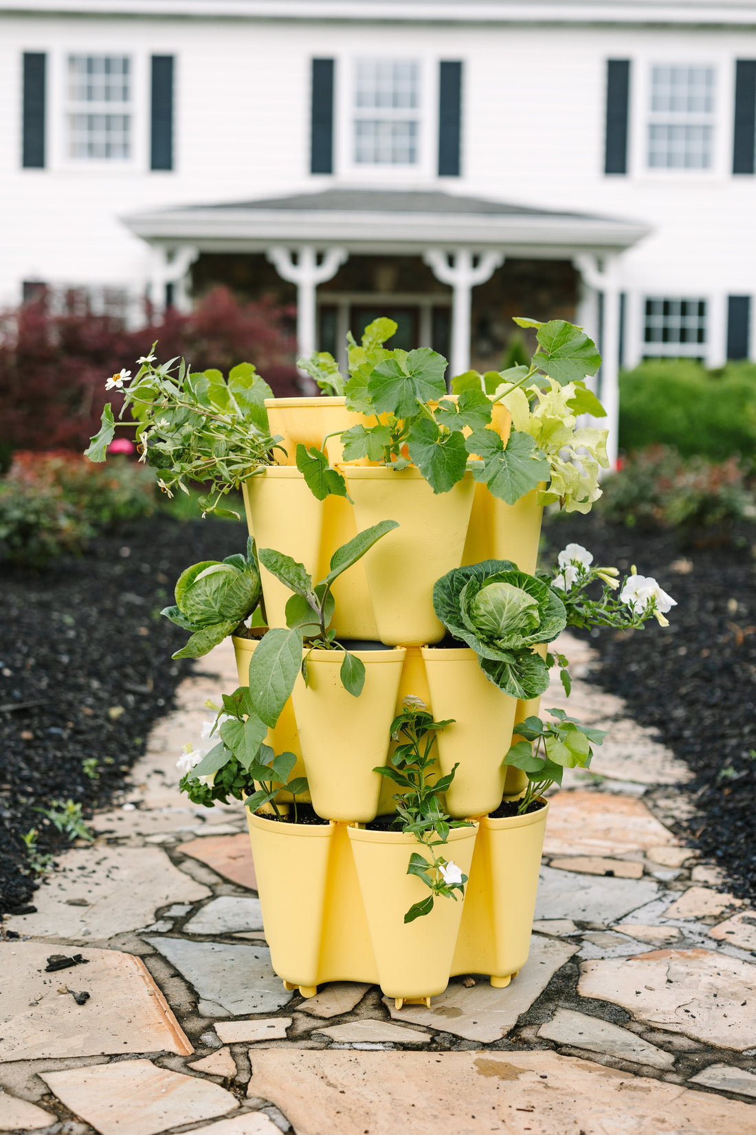 How to Start Seeds Indoors for a Thriving Spring Garden