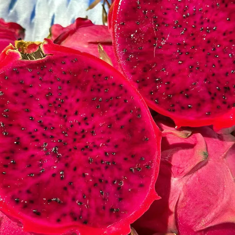 Pitaya (Dragon Fruit) Seeds