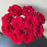 Glory Rose Seeds