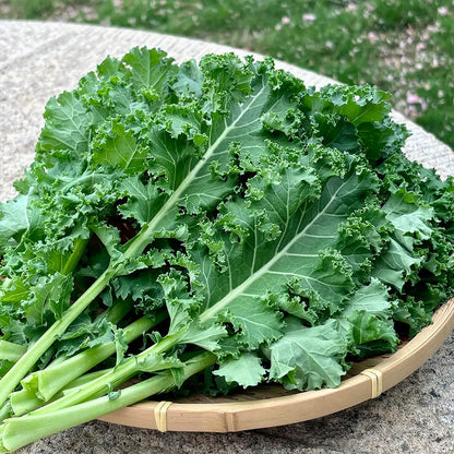 Collards Seeds