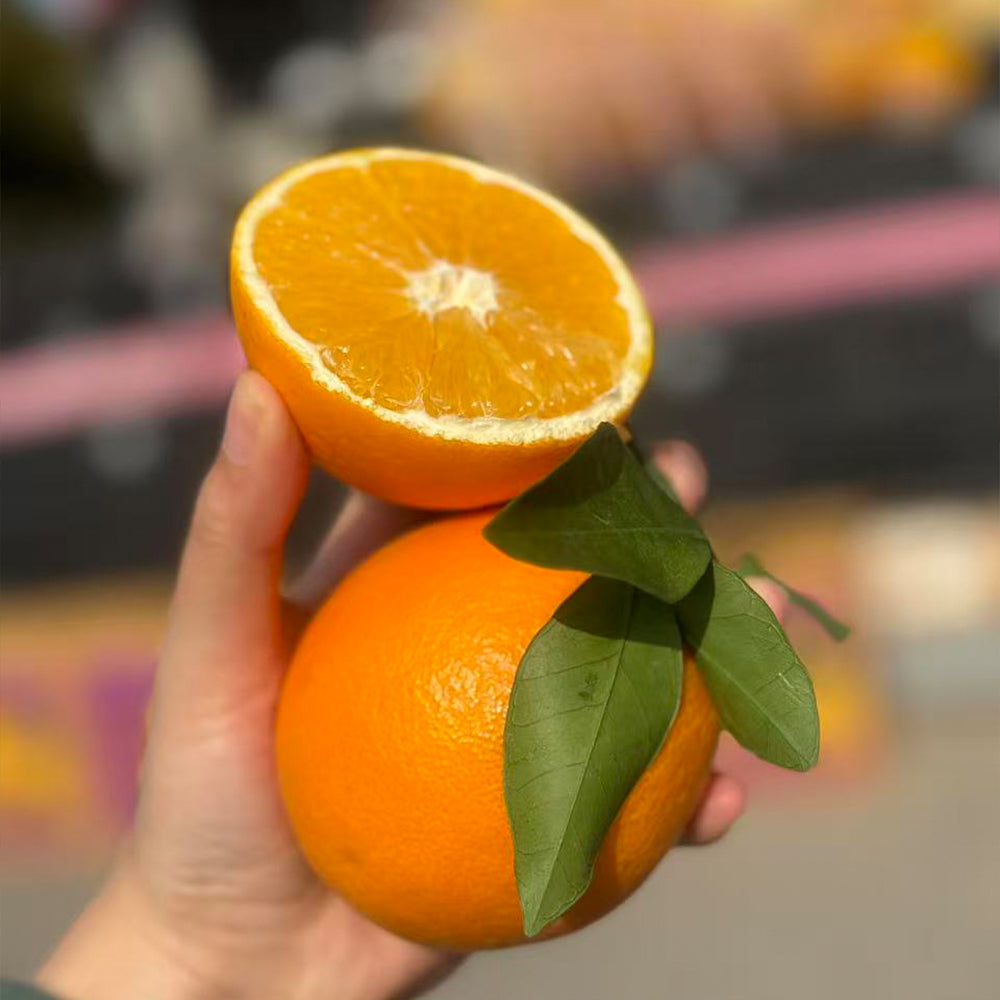 Orange Seeds