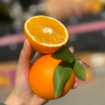 Orange Seeds