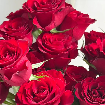 Highland Red Rose Seeds