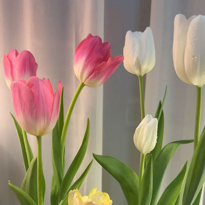 Tulips Seeds