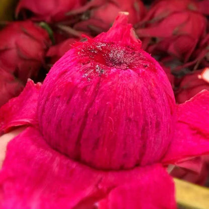 Pitaya (Dragon Fruit) Seeds