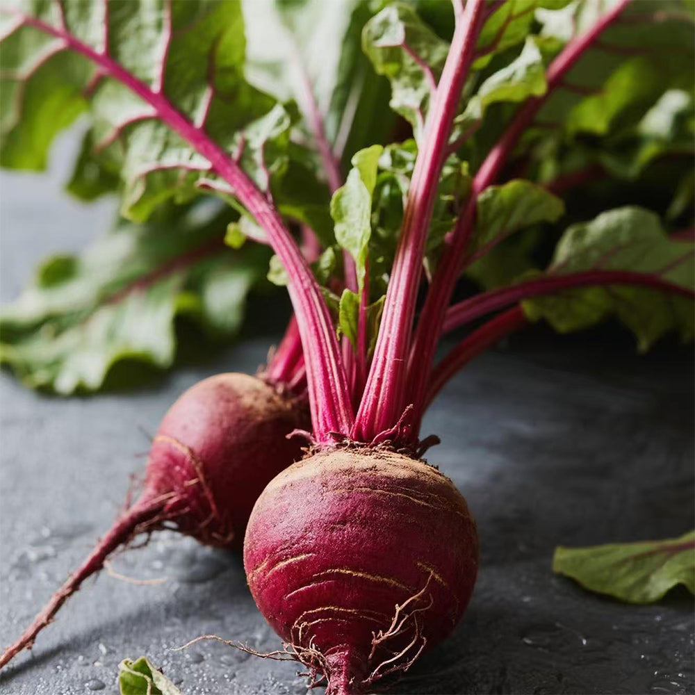 Beets Seeds