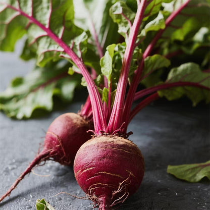 Beets Seeds
