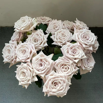 Manta Rose Seeds