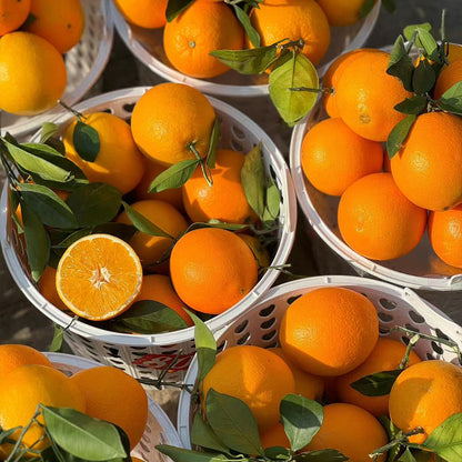 Orange Seeds