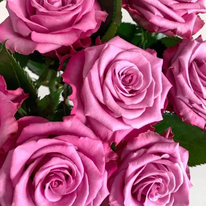 Yanran Rose Seeds