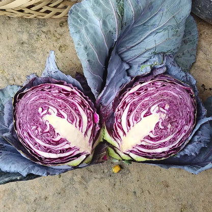 Red/Purple Cabbage Seeds