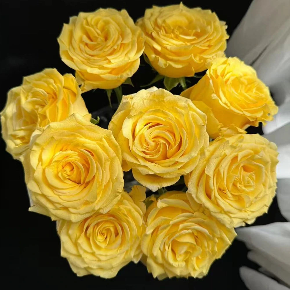 Golden Elegance Rose Seeds