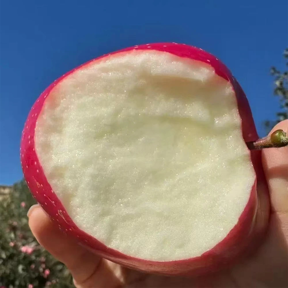 Red Apple Seeds