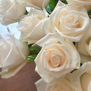 Fendra Rose Seeds