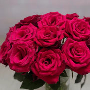 Bride Rose Seeds