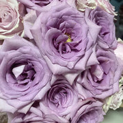 Purple Empress Rose Seeds