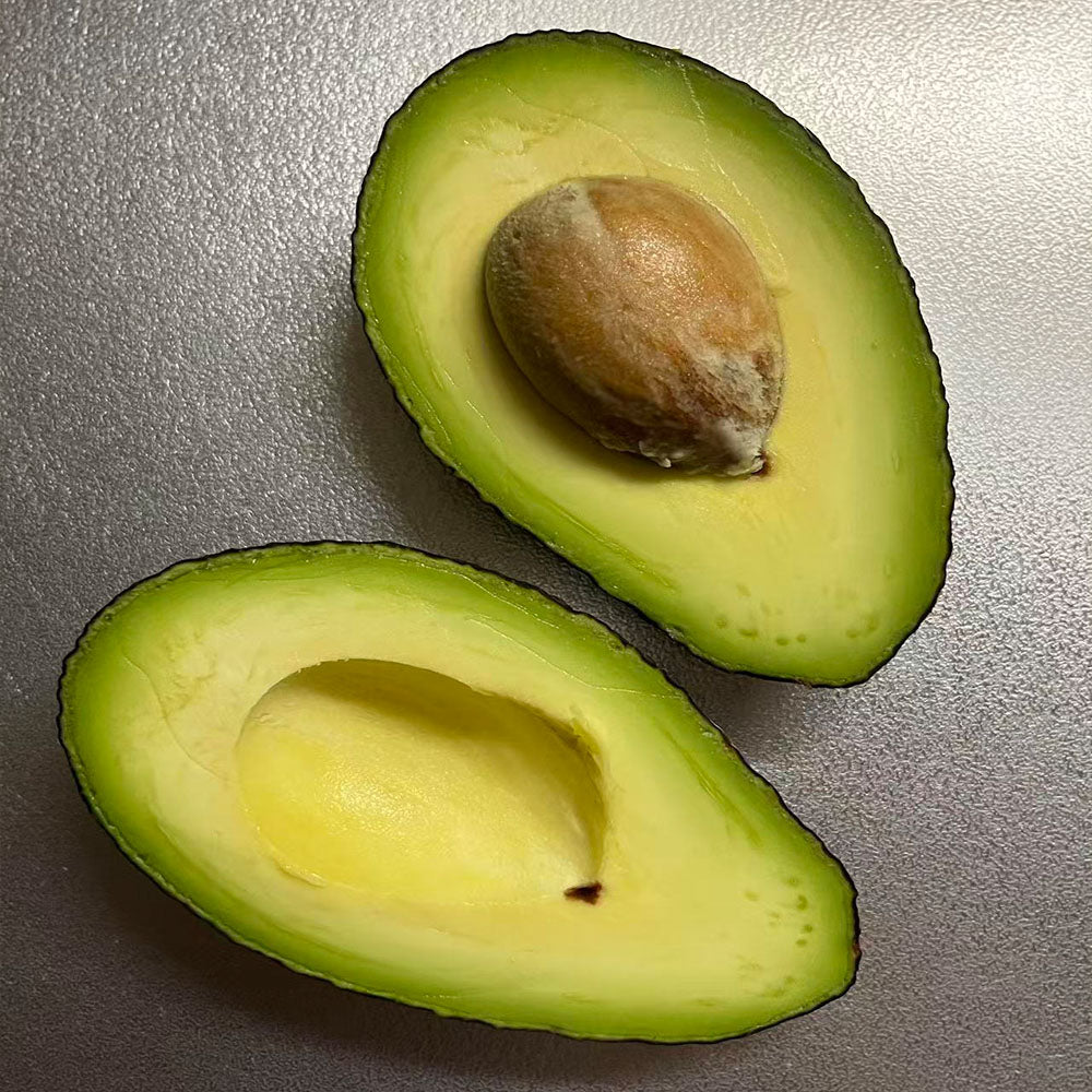 Avocado Seeds