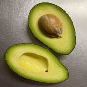 Avocado Seeds
