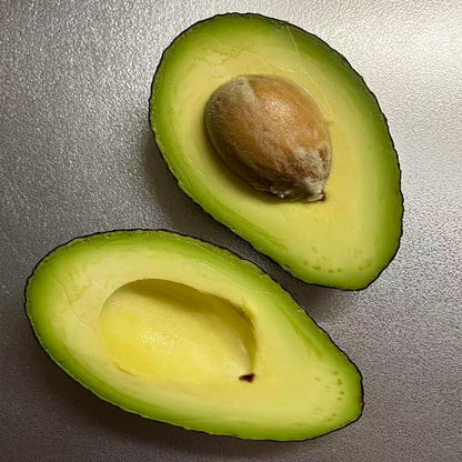 Avocado Seeds