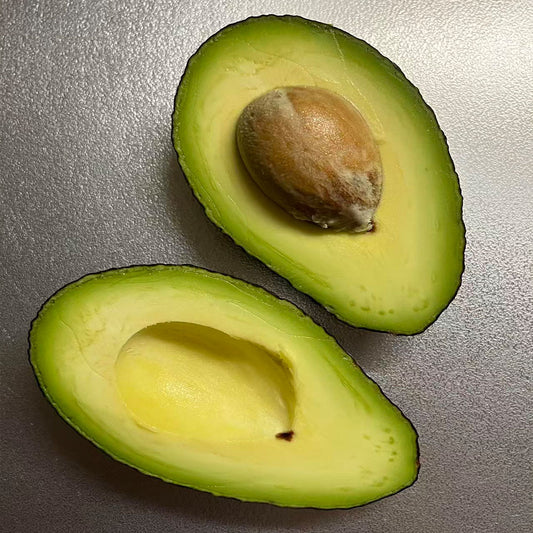 Avocado Seeds