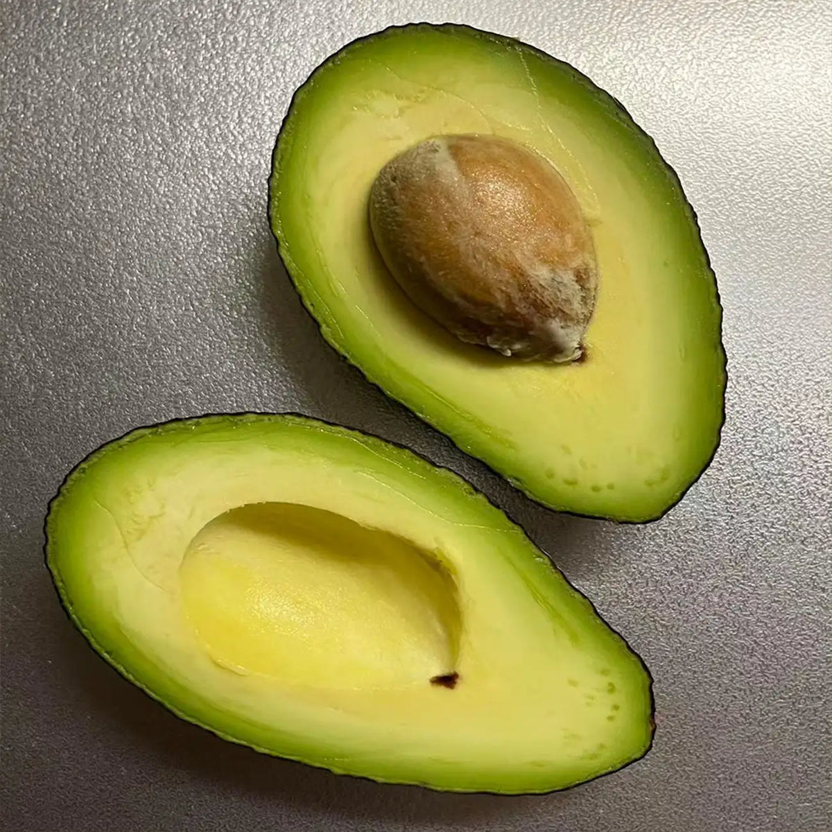 Avocado Seeds
