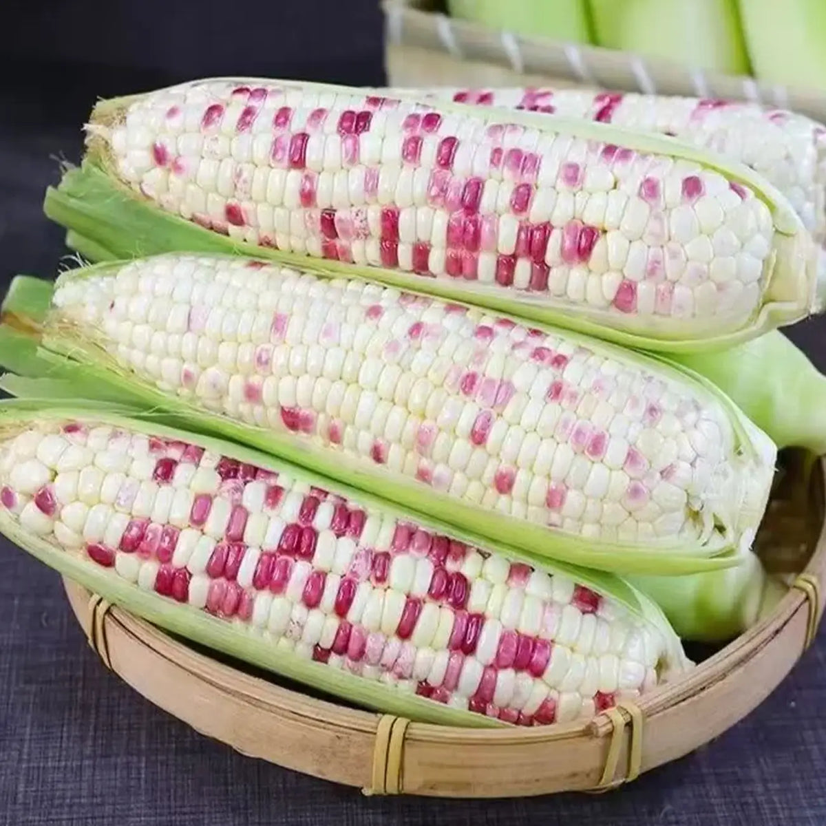 Bicolor Corn Seeds
