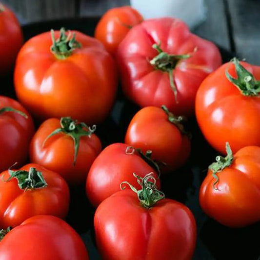 Big Beef Hybrid Tomato Seeds