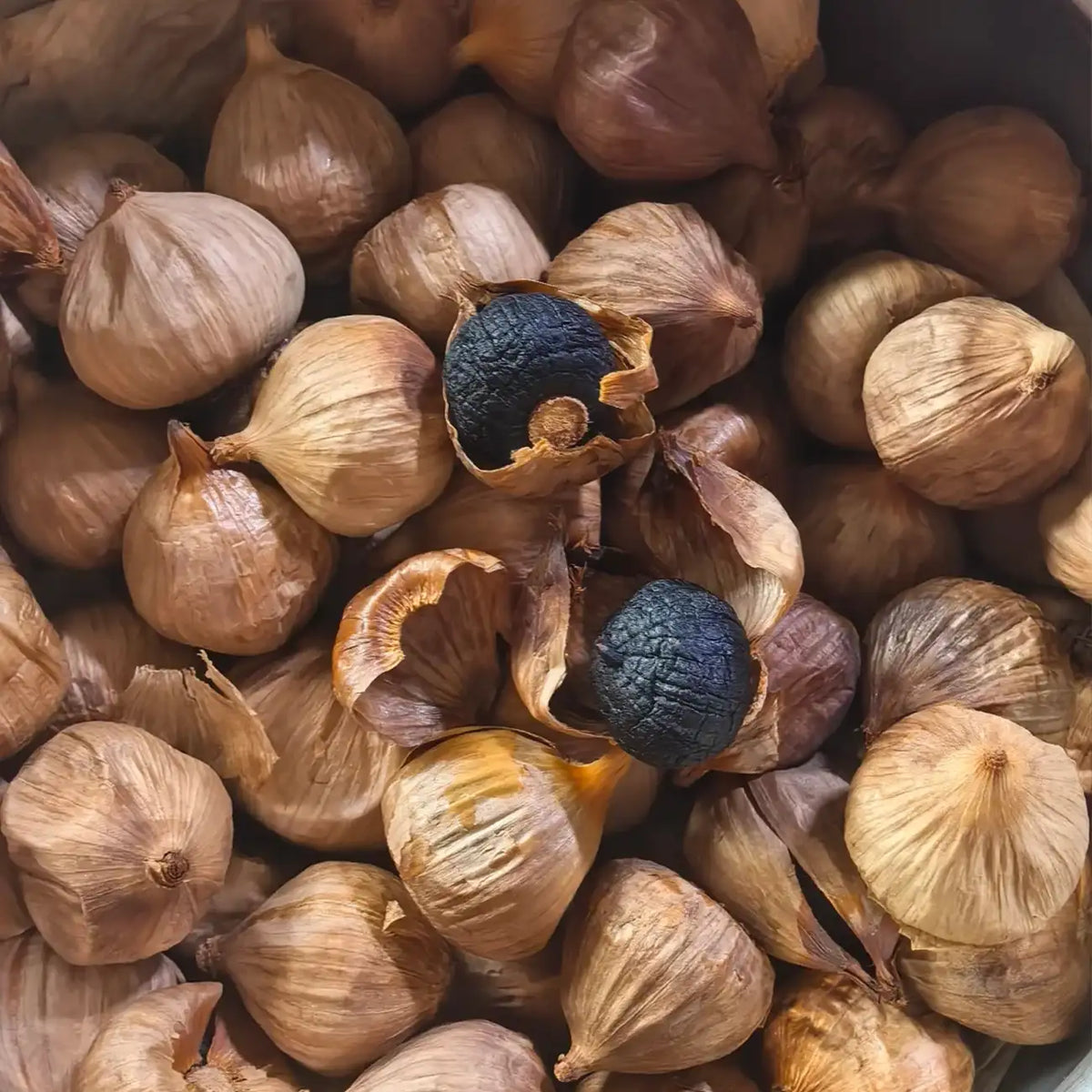 Black Garlic Seeds - Organic Vegetables