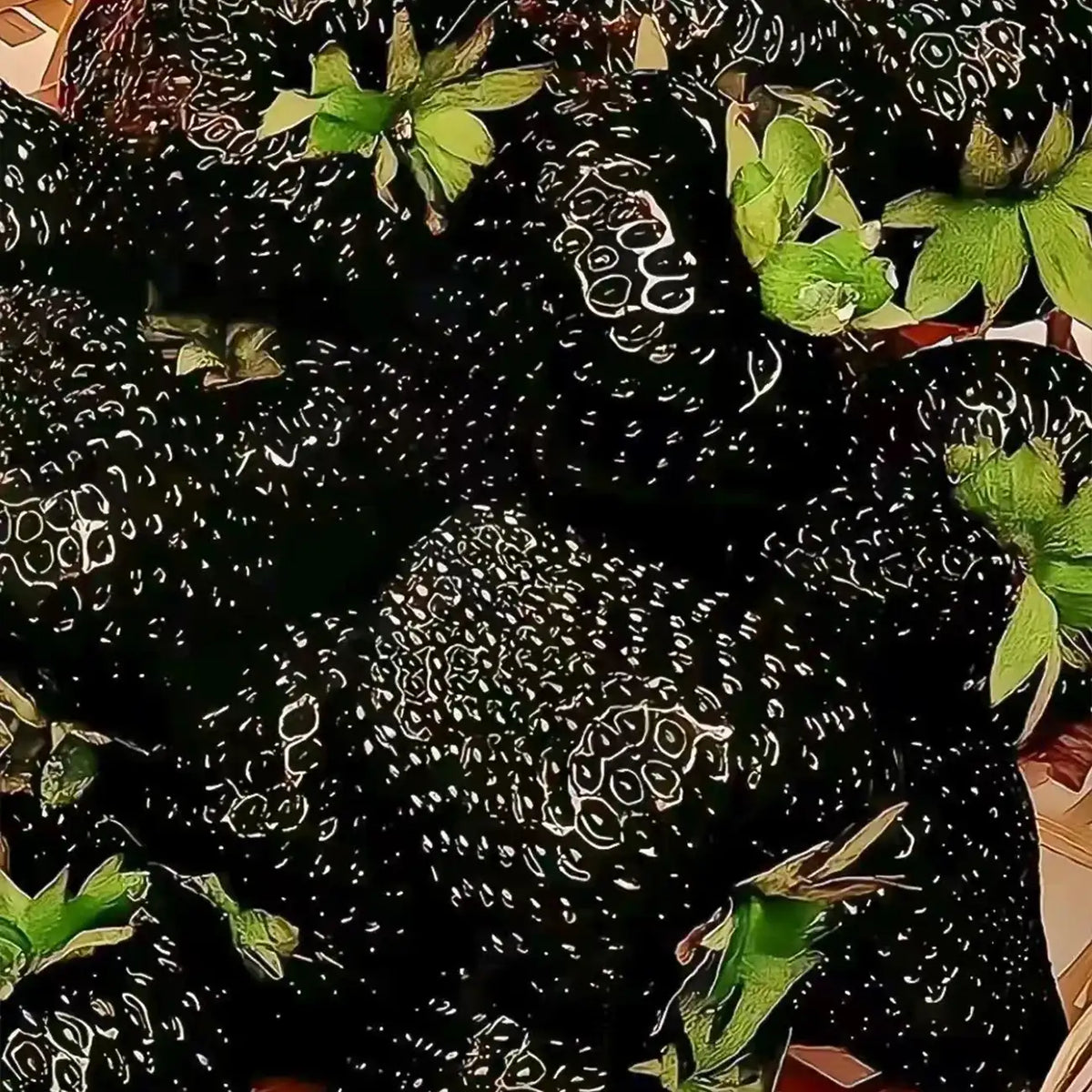 Black Strawberry Fruits Seeds