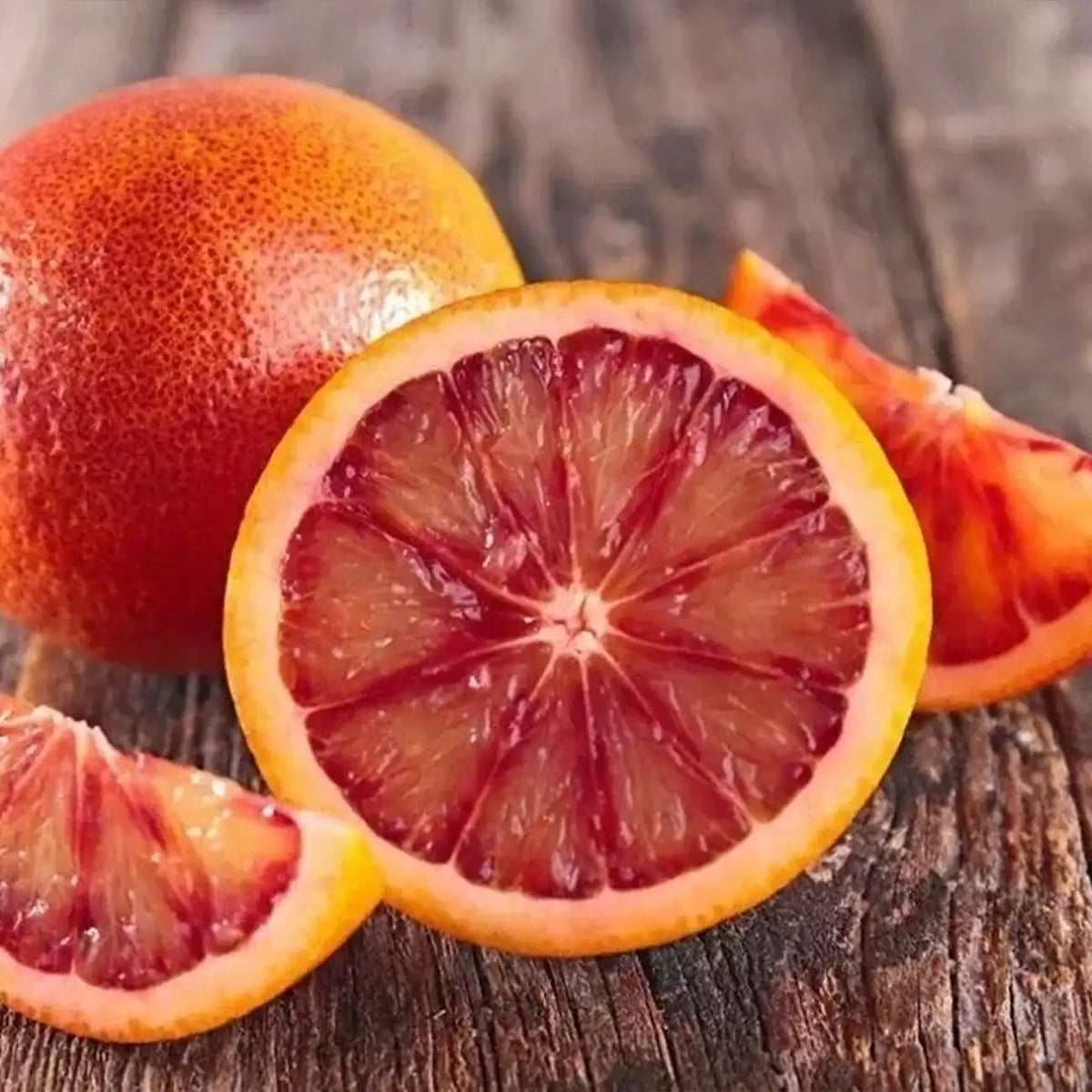 Blood Orange Tree Seeds