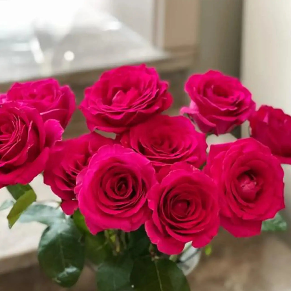Bride Rose Seeds